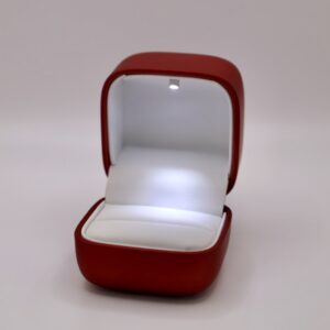 SL01- Ring LED